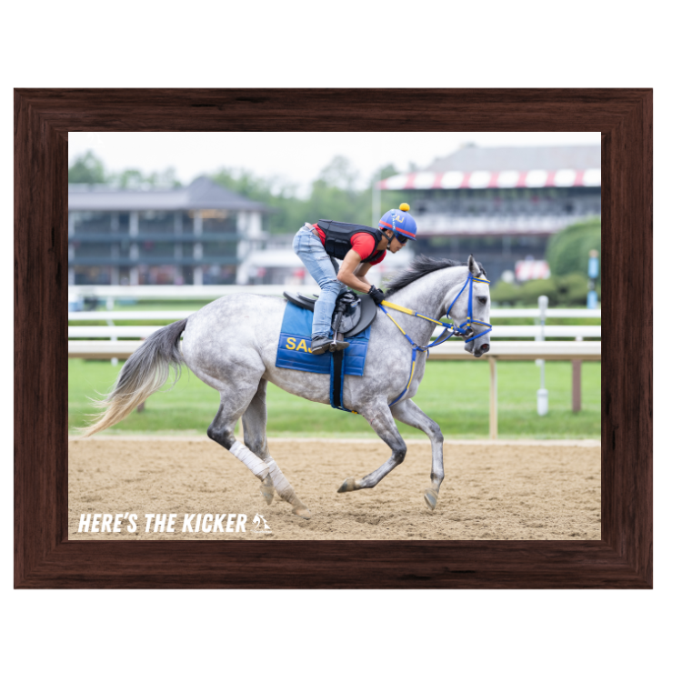 Here's the Kicker - Action Photo