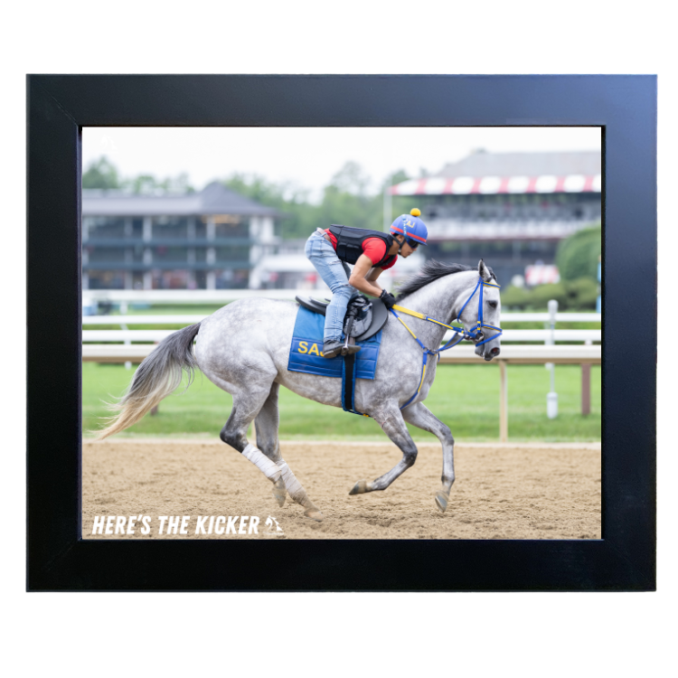 Here's the Kicker - Action Photo