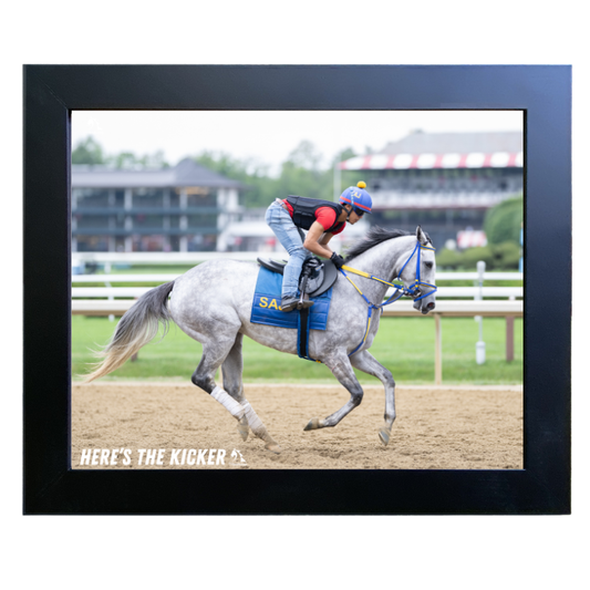 Here's the Kicker - Action Photo