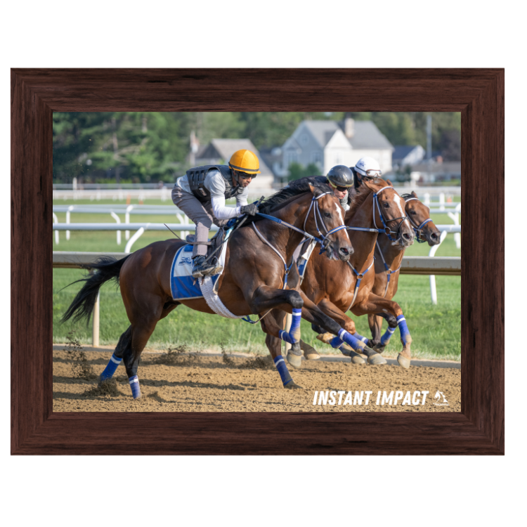 Instant Impact Action Photo