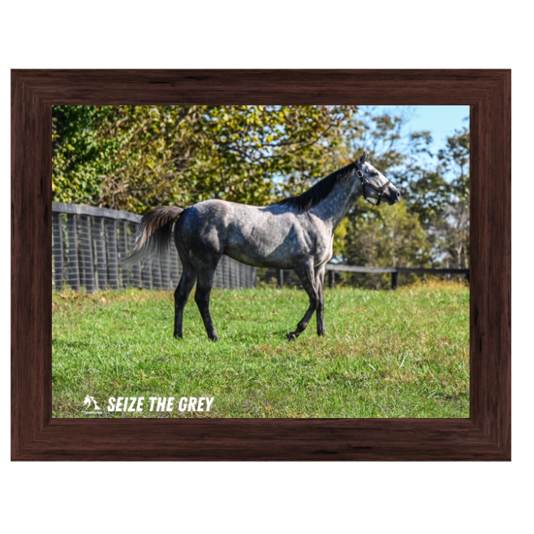 Seize the Grey Candid #2 Photo