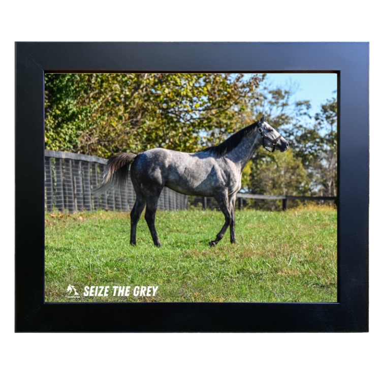 Seize the Grey Candid #2 Photo