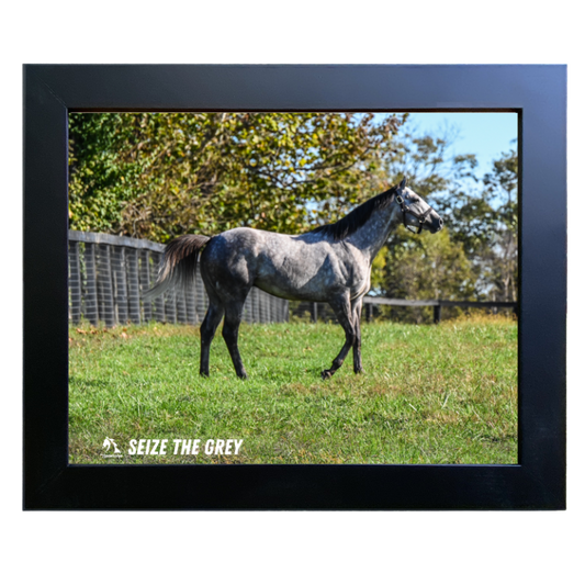 Seize the Grey Candid #2 Photo