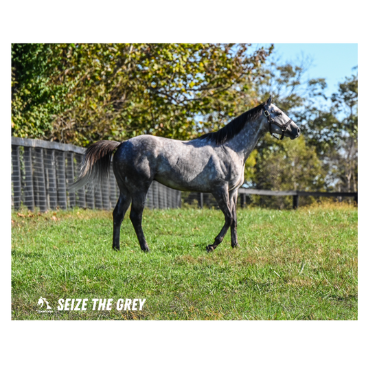 Seize the Grey Candid #2 Photo