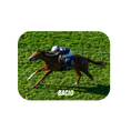Load image into Gallery viewer, Bacio - Rectangular Magnet
