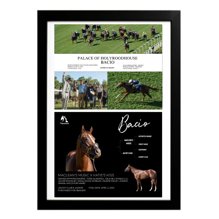Bacio - Palace of Holyroodhouse Custom Photo / Owner Photo Collage