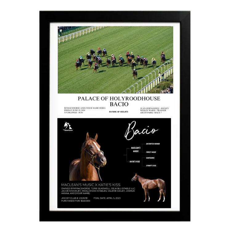 Bacio - Palace of Holyroodhouse Custom Photo / Owner Photo Collage