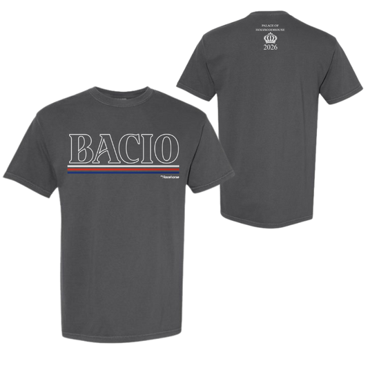 Bacio Palace of Holyroodhouse Unisex - Comfort Colors Heavy Weight T-Shirt