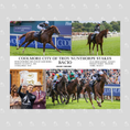 Load image into Gallery viewer, Bacio Nunthorpe Stakes - Custom Winner's Collage Photo
