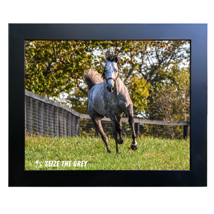 Seize the Grey Candid Photo