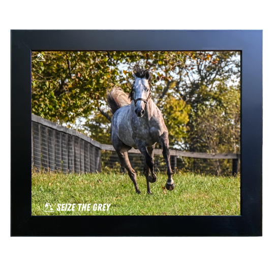 Seize the Grey Candid Photo