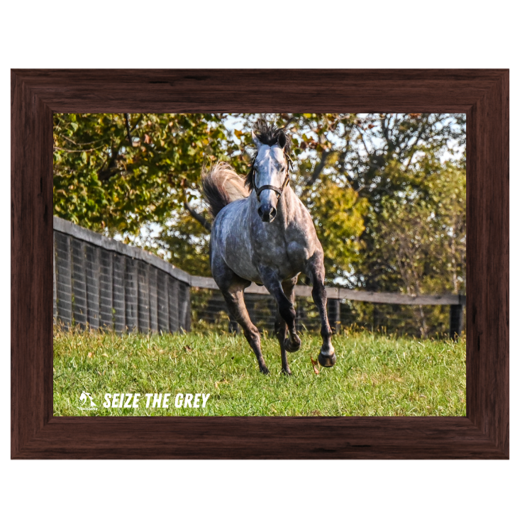 Seize the Grey Candid Photo