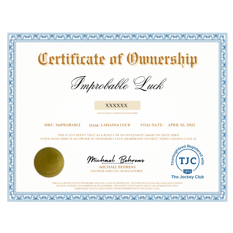 Improbable Luck Certificate of Ownership