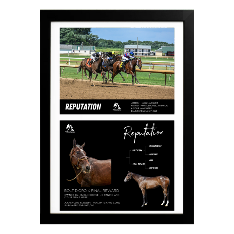 Reputation - Custom Win Photo / Owner Photo Collage