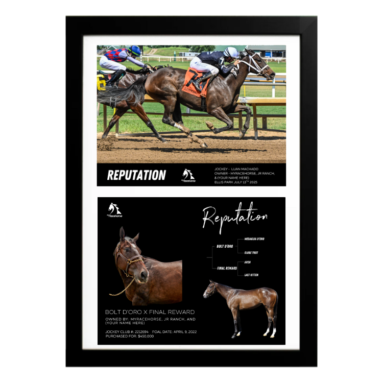 Reputation - Custom Win Photo / Owner Photo Collage
