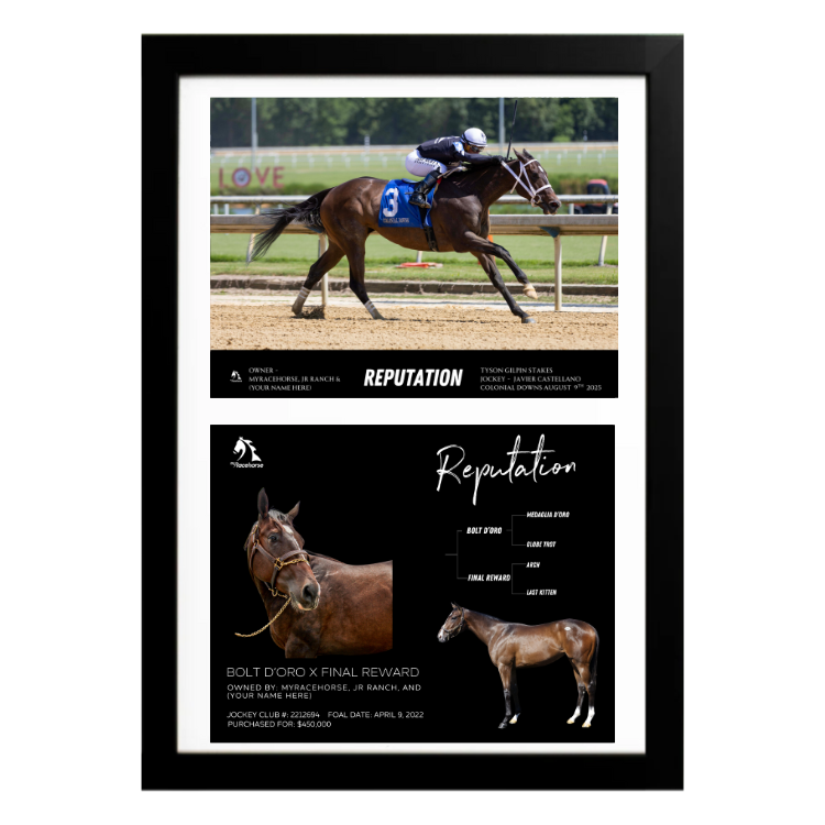 Reputation - Tyson Gilpin Stakes Custom Win Photo / Owner Photo Collage