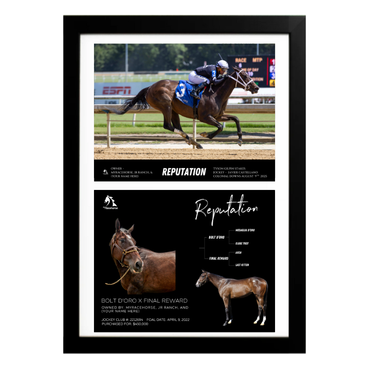Reputation - Tyson Gilpin Stakes Custom Win Photo / Owner Photo Collage