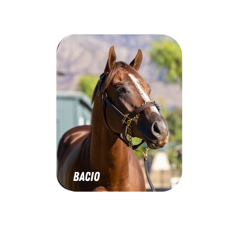 Bacio Rectangular Magnet