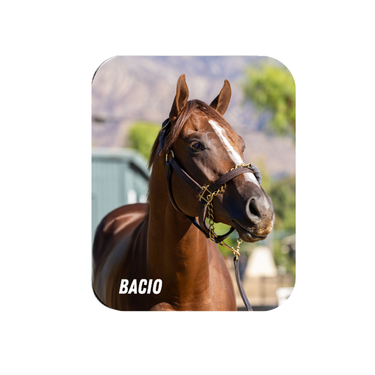 Bacio Rectangular Magnet