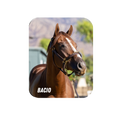 Load image into Gallery viewer, Bacio Rectangular Magnet
