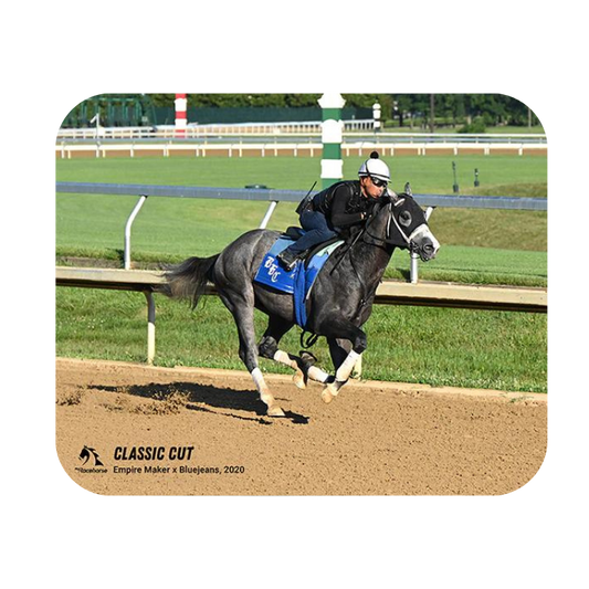 Classic Cut Mouse Pad