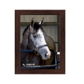 Load image into Gallery viewer, Classic Cut Photo - Barn Portrait
