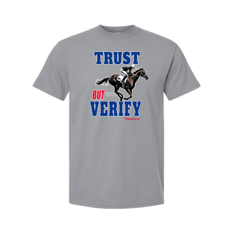 Trust but Verify Unisex - Comfort Colors Heavy Weight T-Shirt