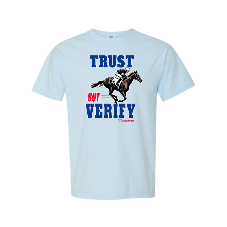 Trust but Verify Unisex - Comfort Colors Heavy Weight T-Shirt