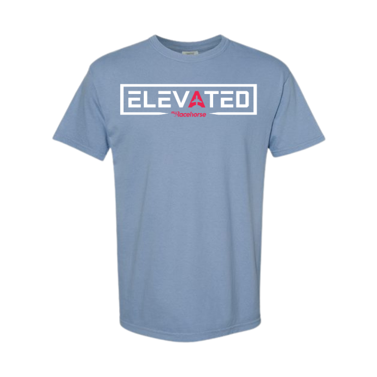 Elevated Unisex - Comfort Colors Heavy Weight T-Shirt