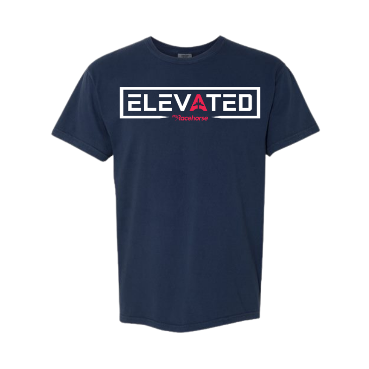 Elevated Unisex - Comfort Colors Heavy Weight T-Shirt