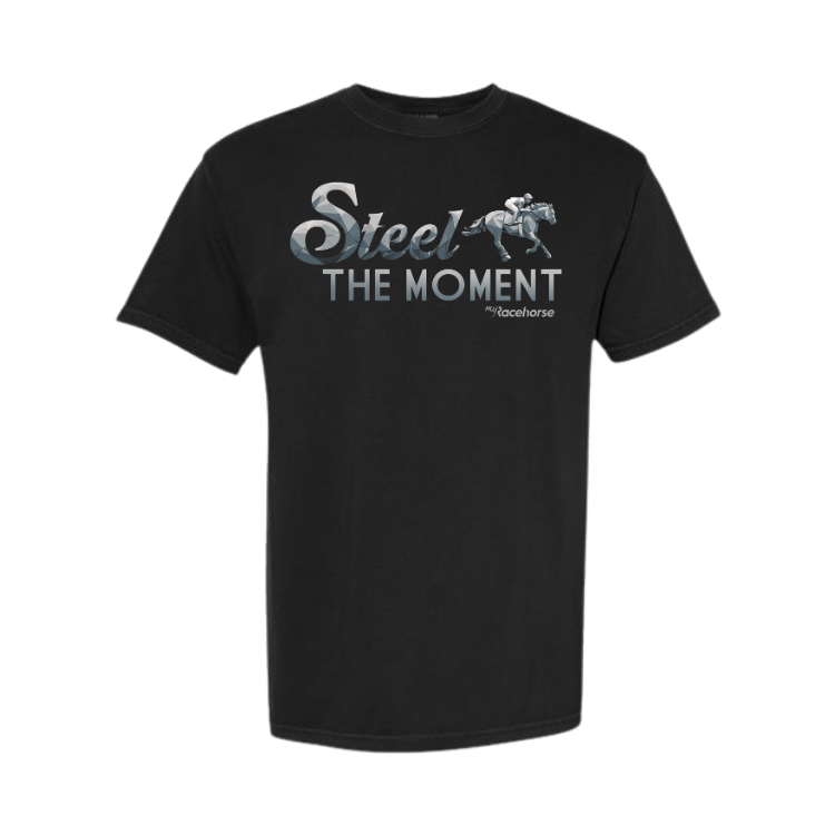 Steel the Moment Unisex - Comfort Colors Heavy Weight T-Shirt