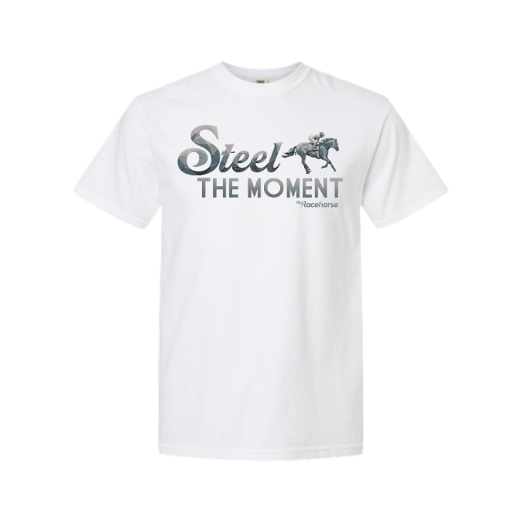 Steel the Moment Unisex - Comfort Colors Heavy Weight T-Shirt