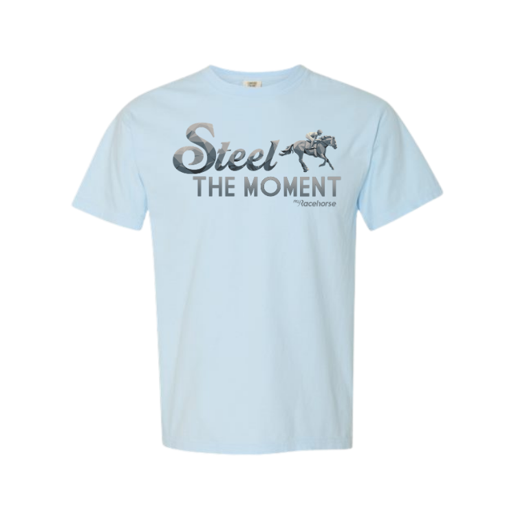 Steel the Moment Unisex - Comfort Colors Heavy Weight T-Shirt