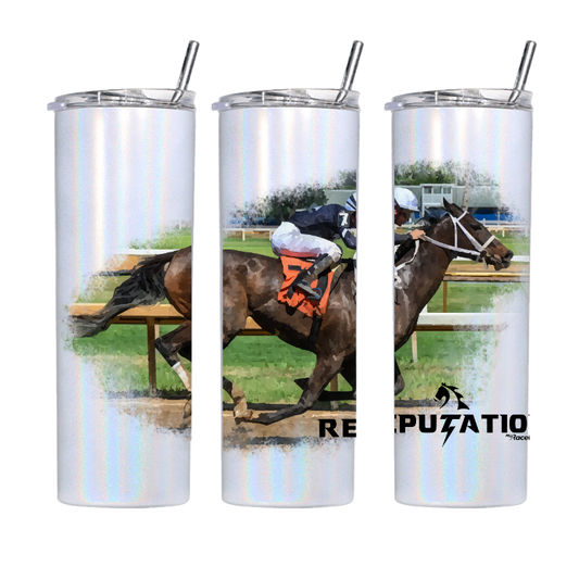 Reputation Tumbler