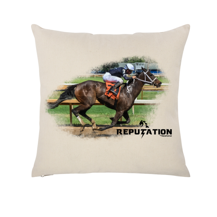 Reputation Throw Pillow Case