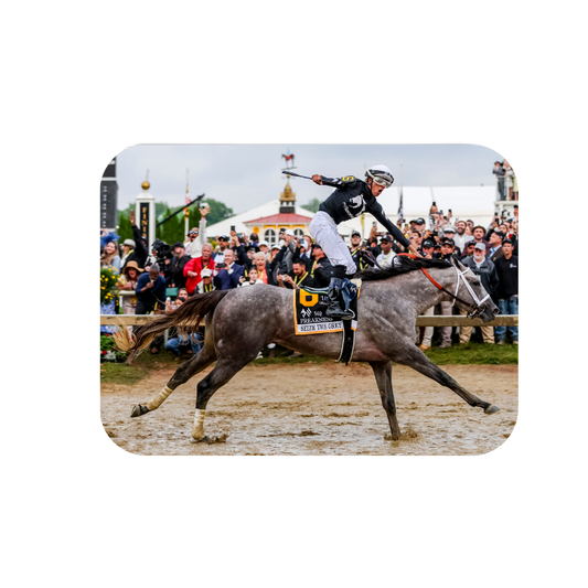 Seize the Grey  - Rectangular Magnet