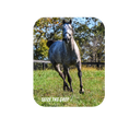 Load image into Gallery viewer, Seize the Grey  - Rectangular Magnet
