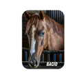 Load image into Gallery viewer, Bacio Rectangular Magnet
