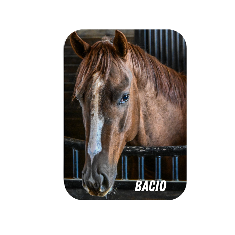 Bacio Rectangular Magnet