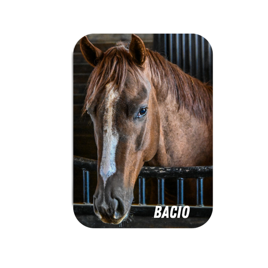 Bacio Rectangular Magnet