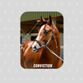 Load image into Gallery viewer, Conviction Rectangular Magnet
