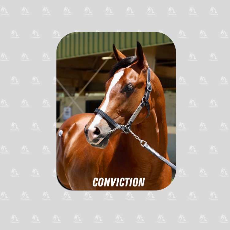 Conviction Rectangular Magnet