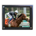 Load image into Gallery viewer, Lane Way Clocker's Corner Stakes Crossing the Wire Photo
