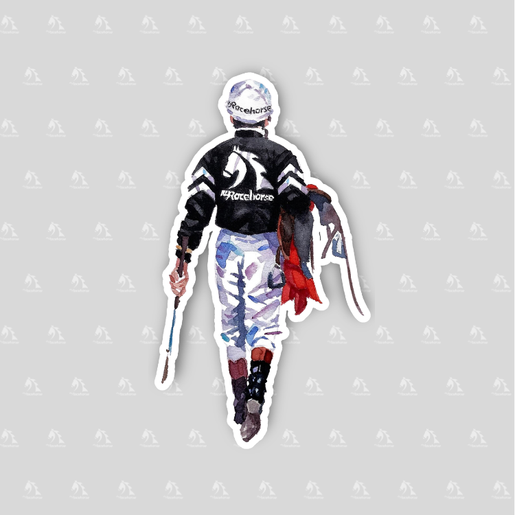 MyRacehorse - Stickers