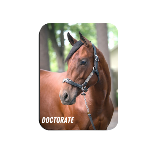 Doctorate Rectangular Magnet