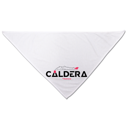 Caldera Dog Bandana