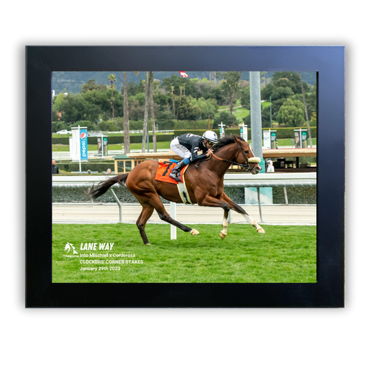 Lane Way Clocker's Corner Stakes Finish Line Photo