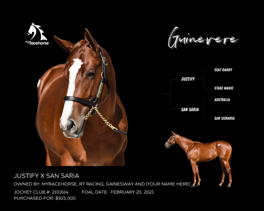 Guinevere Owner Photo