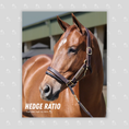 Load image into Gallery viewer, Hedge Ratio Portrait Photo

