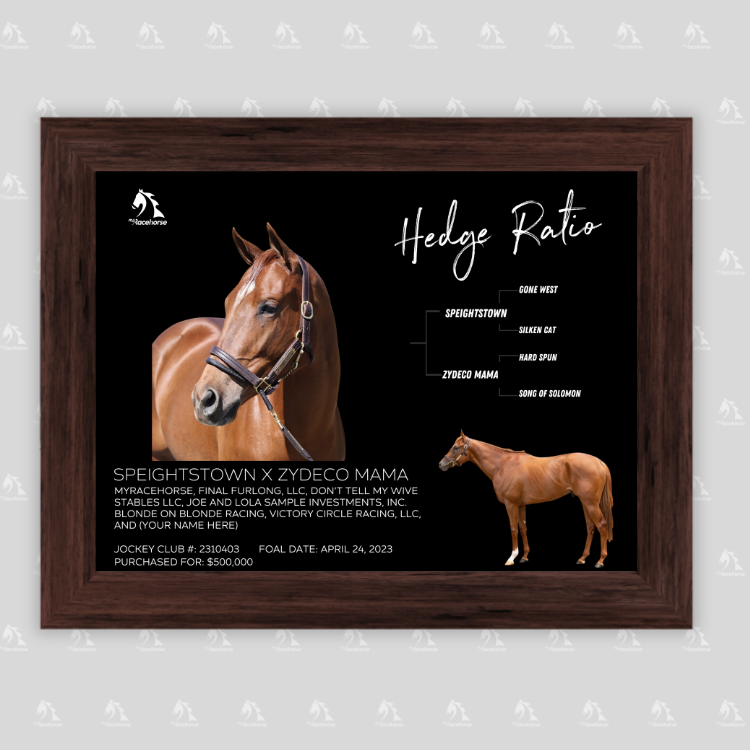 Hedge Ratio Owner Photo